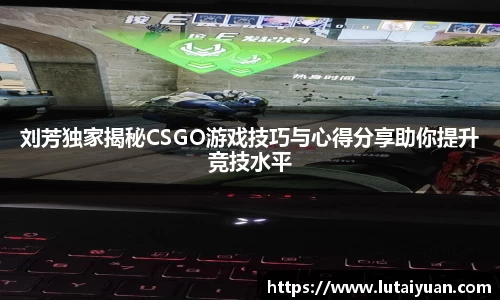 刘芳独家揭秘CSGO游戏技巧与心得分享助你提升竞技水平