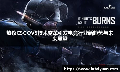 小艾电竞平台官方网