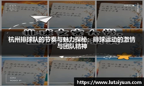 杭州排球队的节奏与魅力探秘：排球运动的激情与团队精神