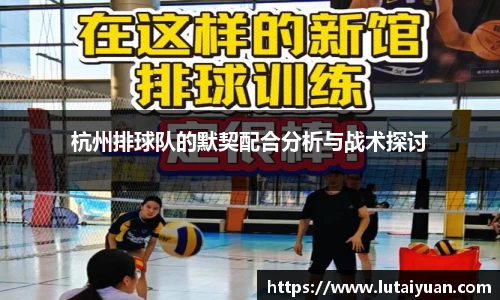 小艾电竞平台官方网