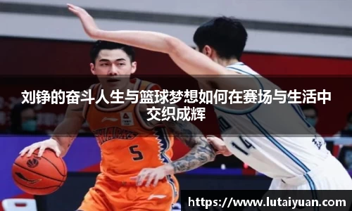刘铮的奋斗人生与篮球梦想如何在赛场与生活中交织成辉