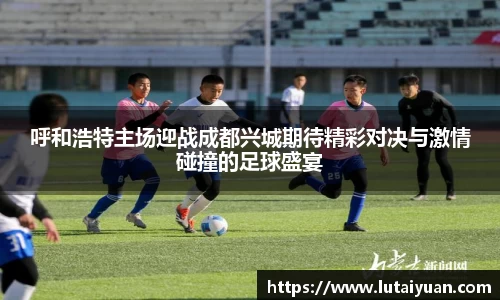 呼和浩特主场迎战成都兴城期待精彩对决与激情碰撞的足球盛宴