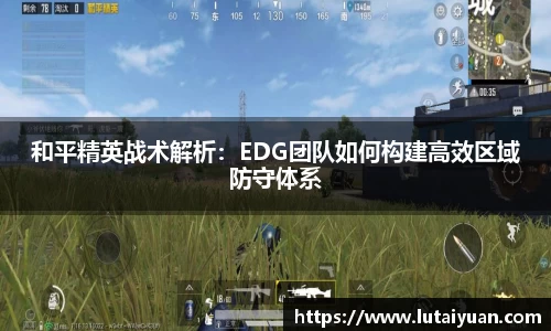和平精英战术解析：EDG团队如何构建高效区域防守体系
